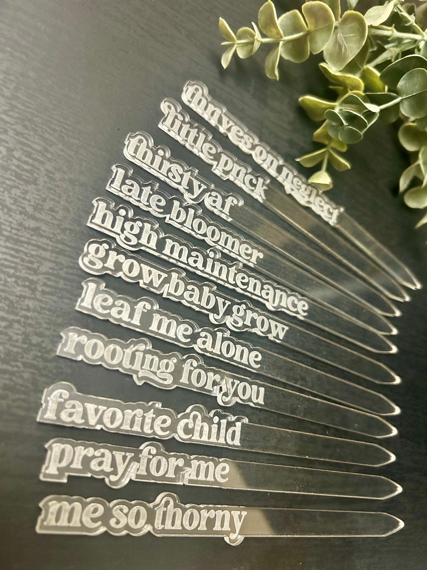 Humorous Plant Markers - Clear Acrylic (Set of 12)