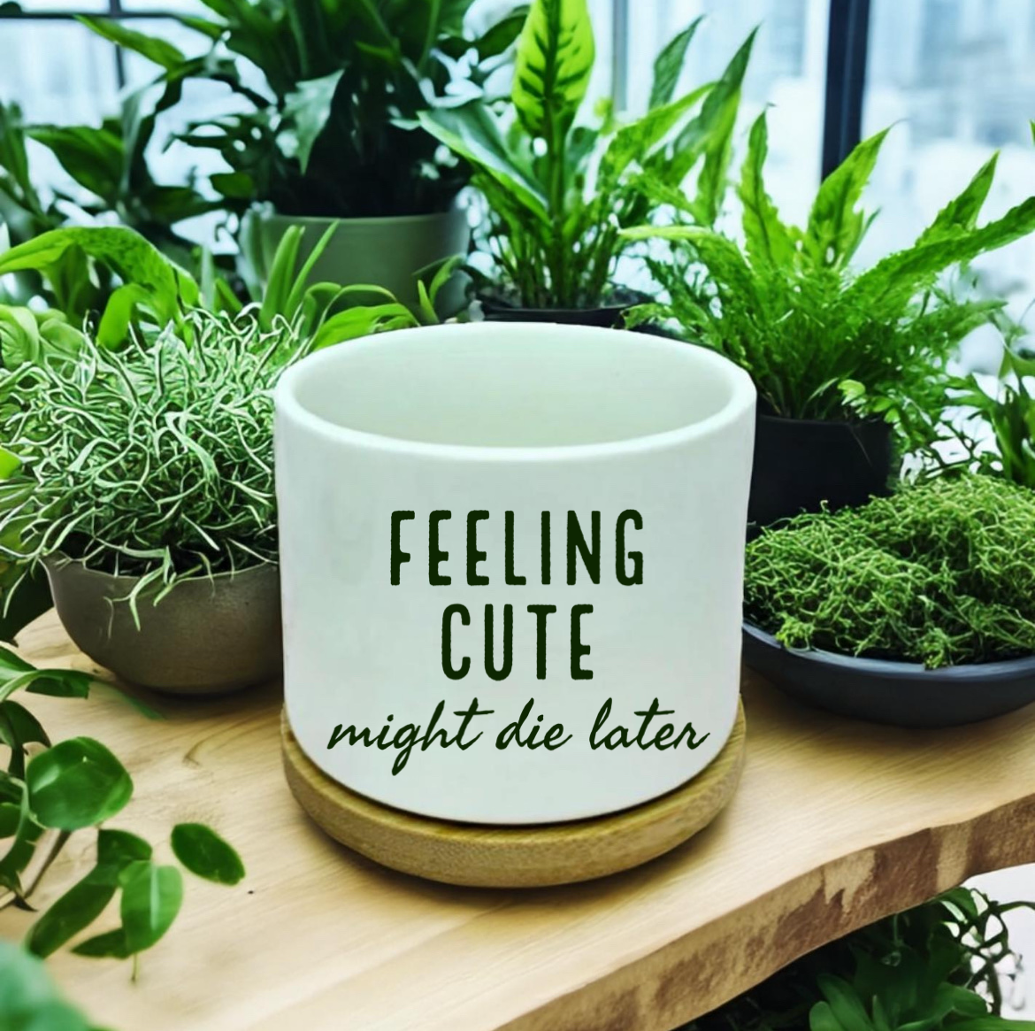 Feeling Cute - Might Die Later Mini Planter w/ Coaster