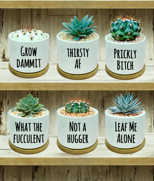 Sarcastic Mini Planter w/ Coaster